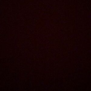 Meet your Posher, Max